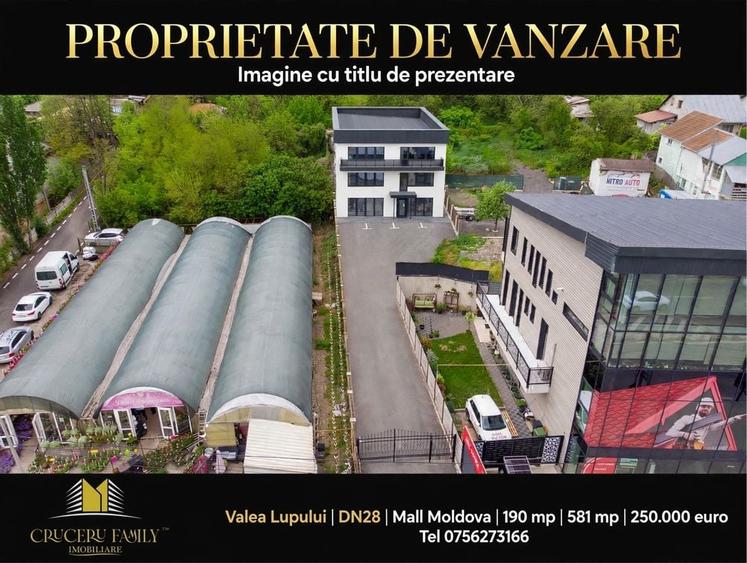 Spațiu comercial, de 190 mp, în Valea Lupului