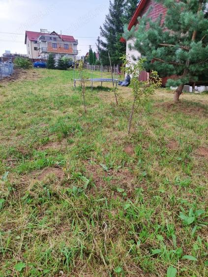 Teren de 800 mp, în Beliș