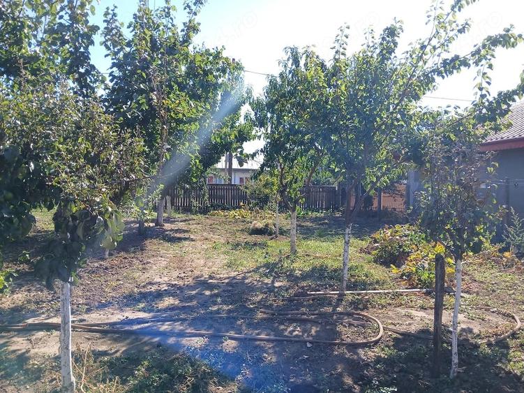 Casă cu Teren 1470 Mp în Tătaru