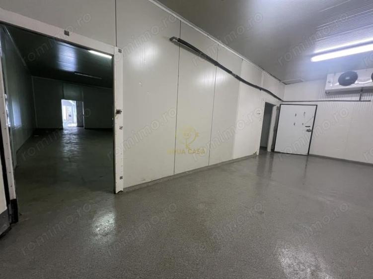 De inchiriat Camere Frigo Congelare/Refrigerare-Suprafete de la 50mp - 7