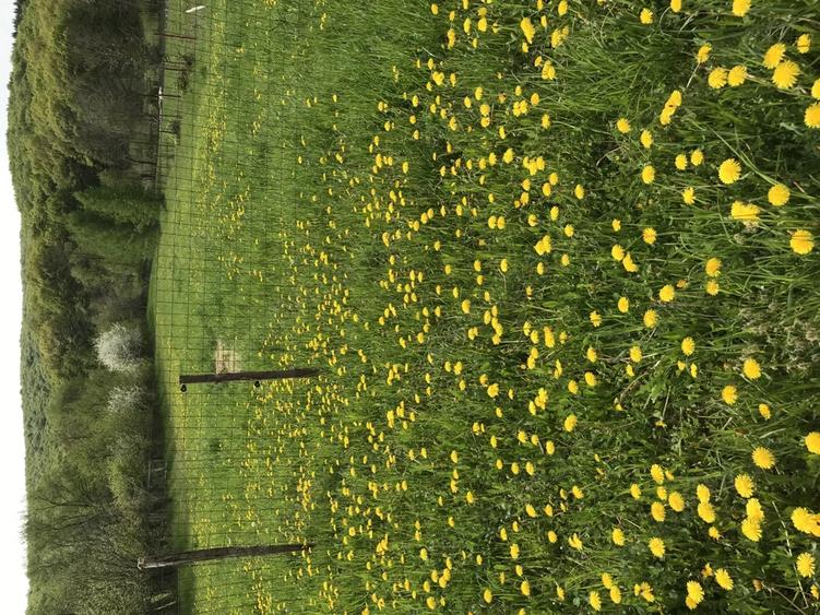 Casa de vacanta- Ozun, 30 km de Brasov - 2