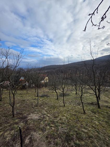 Teren intravilan - 5