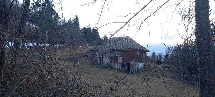 Casa de vanzare muntii apuseni - 6