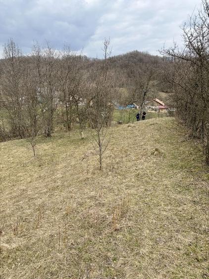 Teren Salatrucel Valcea intravilan cu curent 380V 3300mp+4200 faneata si padure - 5