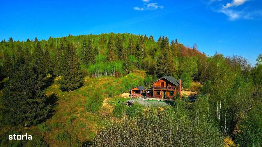 Cabana de vanzare in Muntii Apuseni Valea Ierii, jud. Cluj - 13