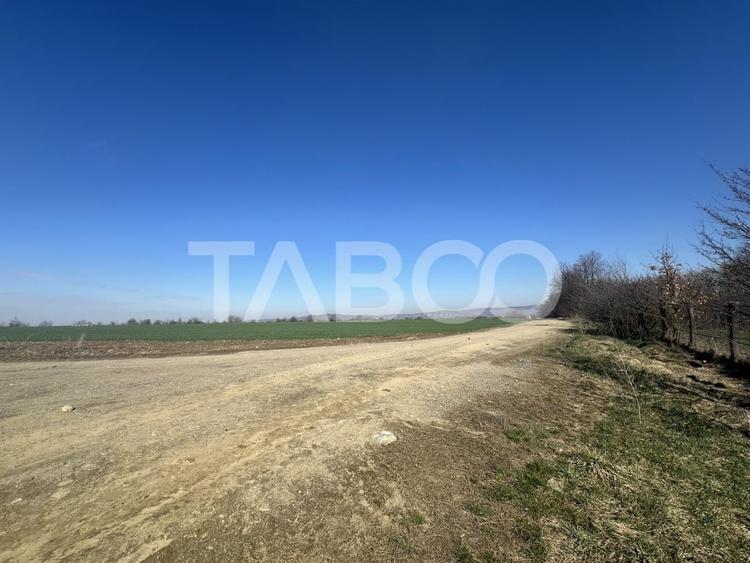 Teren intravilan 2000 mp cu utilitati in apropiere Comuna Dragus - 4