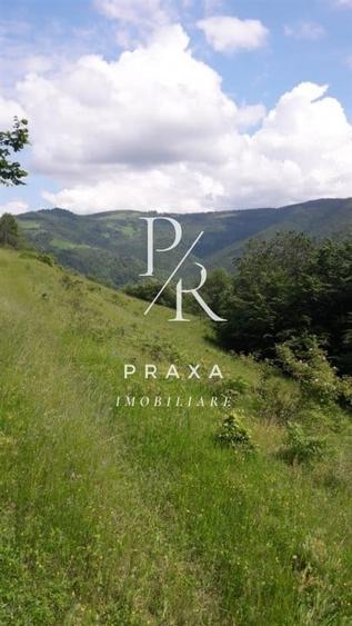 Teren de vanzare 10.000 mp/ parcelabil, cu utiitati, 4 euro/ mp! Maguri Racatau! - 7