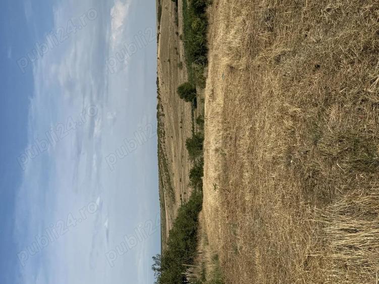 Teren intravilan pentru casa 3400 MP cu priveliste superba - 4