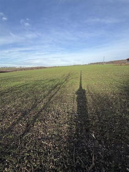 Aroneanu TEREN 14400mp intravilan cu utilitati zona construibila - 7