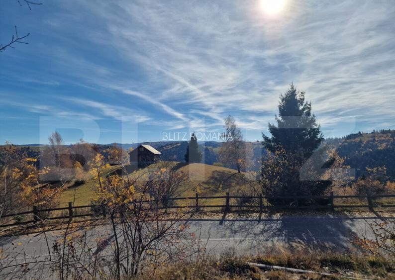 Teren intravilan, 24.888mp, front la strada, utilitati, Mari