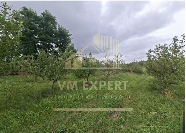 TEREN 20.621 MP CAMPULUNG - 9