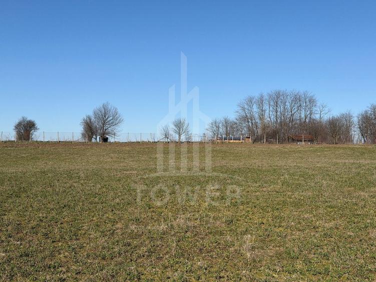 Teren intravilan de vânzare - Ocna Sibiului - 6