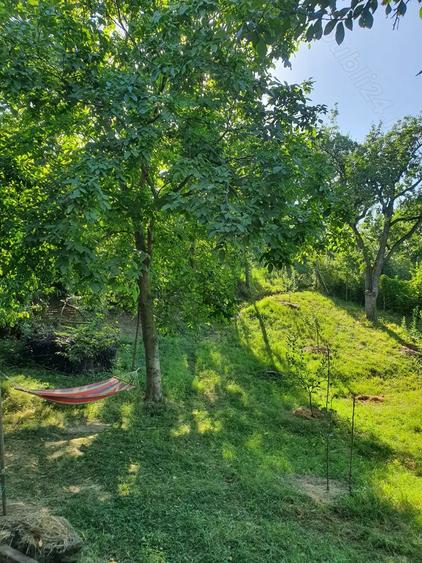 Teren si casa de vacanta ecologica in Stancesti - 9