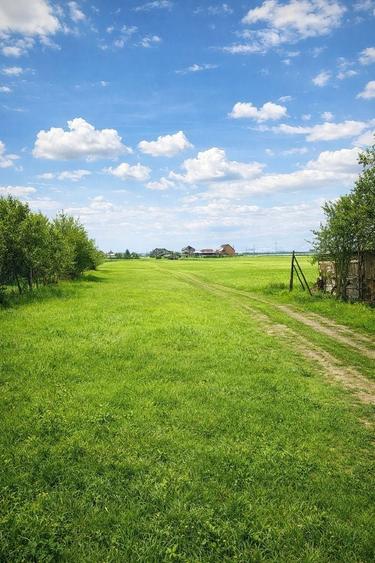 Teren intravilan 990 mp – Curteni, toate utilitatile - 1