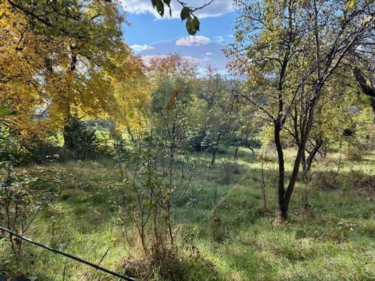 Casă / Vilă cu 2 camere de v&acirc;nzare - 15