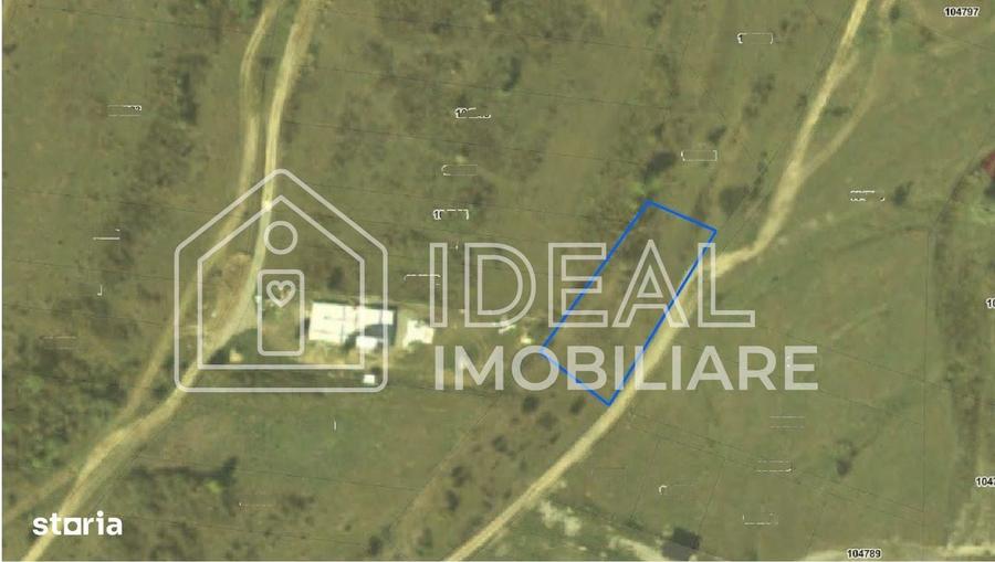 Teren extravilan de vanzare Cartisoara | Vedere spre Muntii Fagaras - 4