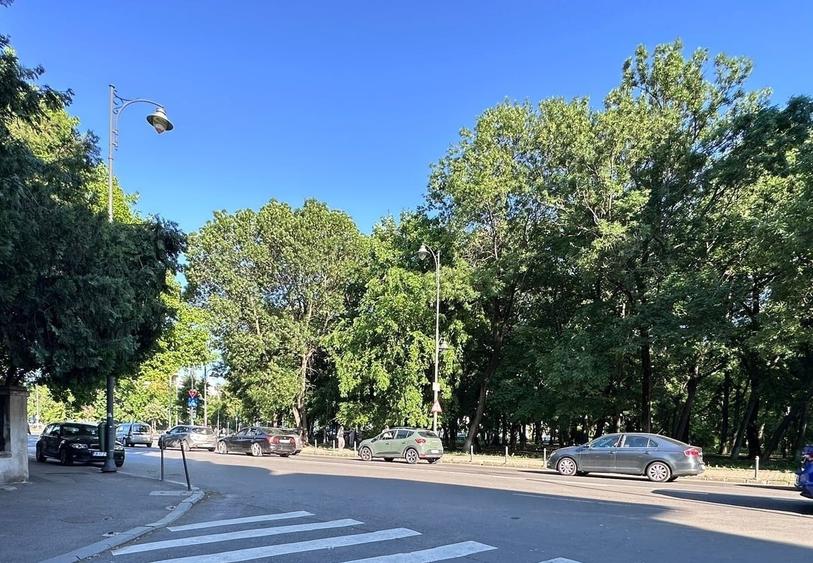 Vila interbelică în zona Aviatorilor - 5