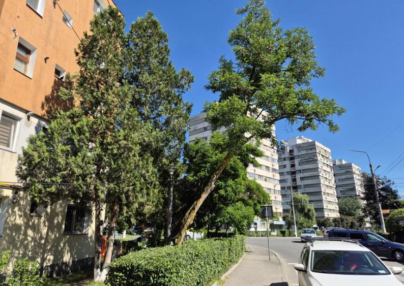 Spa?iu comercial, Ale. N.Titulescu, col? cu str. Minerilor - 1