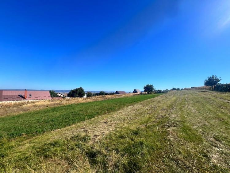 Teren intravilan - 1500 mp, Luizi-Calugara - 2