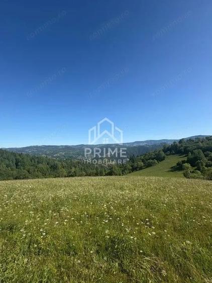 Teren intravilan de vanzare 11.136 mp | ALBAC | CU POSIBILITATE DE PARCELARE | - 3