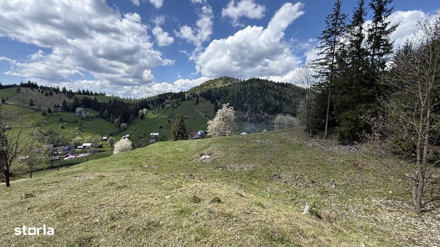 Teren 1.29 ha + 1 ha padure, acces usor - 4