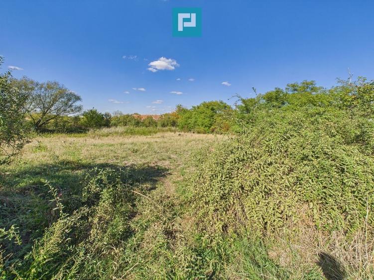 Teren intravilan 6115mp pentru investiții Firiteaz - 7