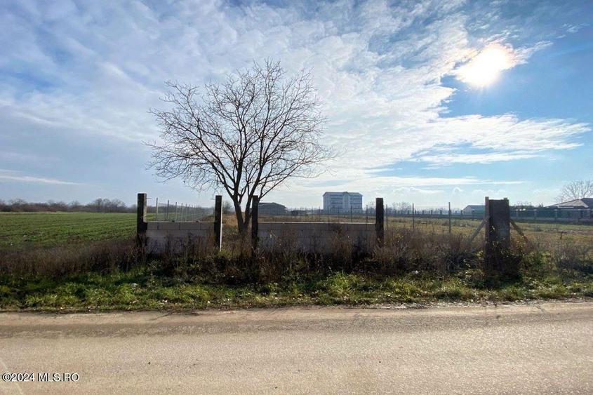 Afumati - Str. Iasomiei, 2409 MP, stradal, intravilan, deschidere 12 ml! - 3