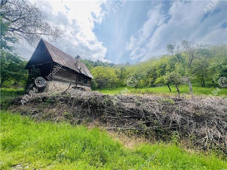 Teren intravilan de 1811 mp situat in Sibiel judetul Sibiu - 7