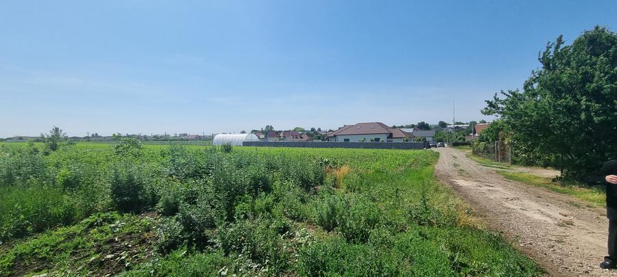 Teren in Catamarasti Deal - 2