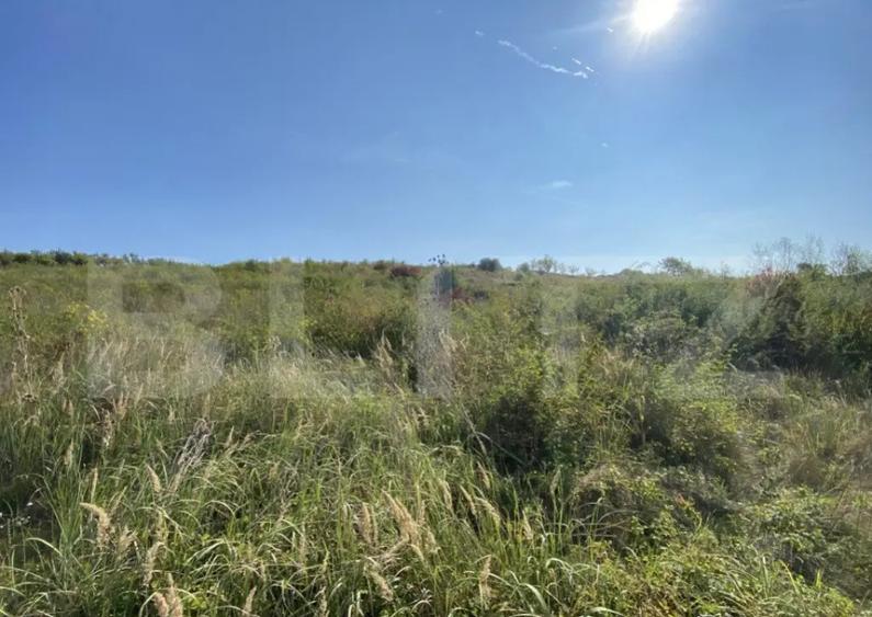 Teren intravilan/extravilan centura Zalau, 8200 mp - 6