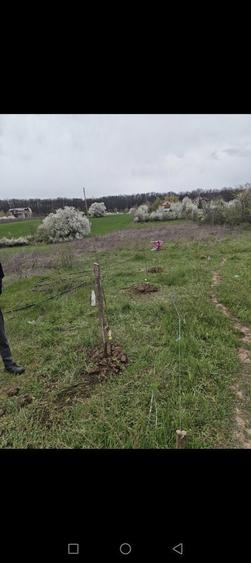 teren intravilan Vladiceasca Snagov 500m2 +1/4 din cota drum,langa lac - 7