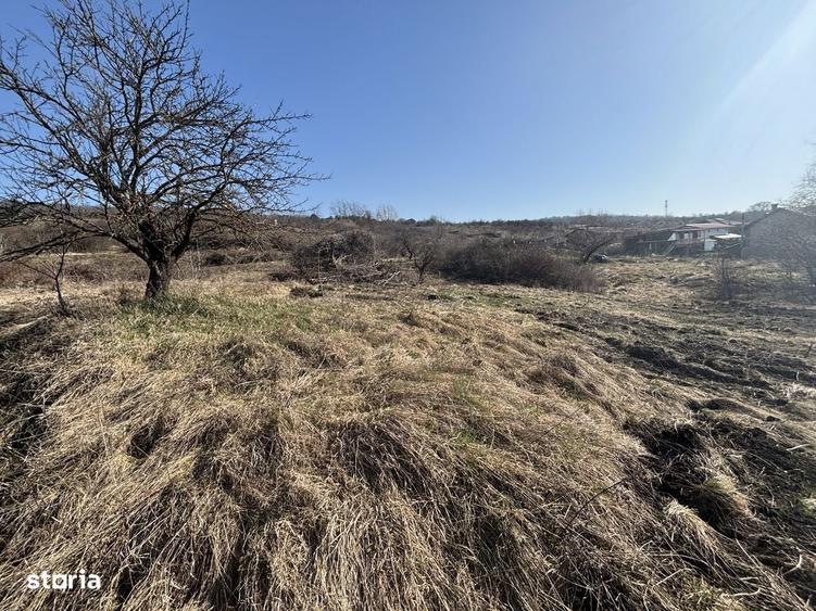 Teren Pomet/3 km Auchan - 5