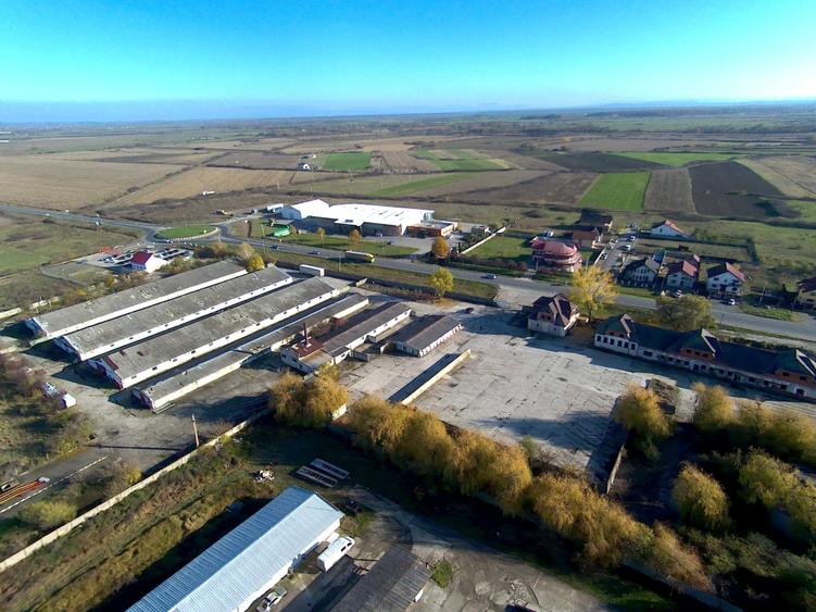 Platformă betonată de închiriat până la 6000 mp, Remetea Mare lângă A1 - 5