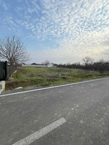 Teren intravilan comuna cuza voda sat calarasii vechi 1167 mp - 2