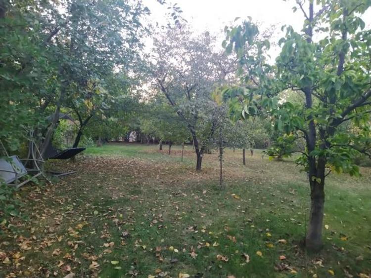 Vând casa cu curte, com Berceni Ilfov  - 2