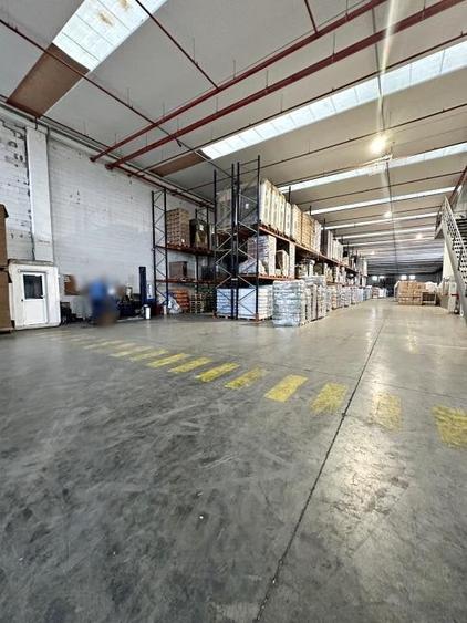 Gaminvest Hala de inchiriat, Parcul Industrial Bors , Bihor,A1950 - 3