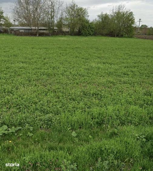 Teren intravilan 40km de Bucuresti - 1