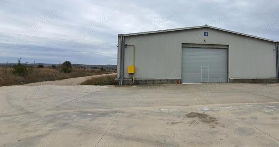 Hala de inchiriat - 3