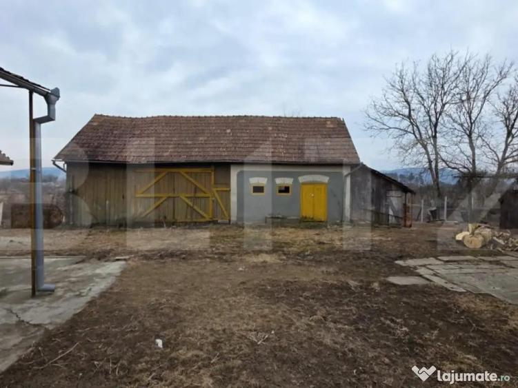 Doua case de vanzare, curte comuna, 4 camer 110mp, 50 ari - 4