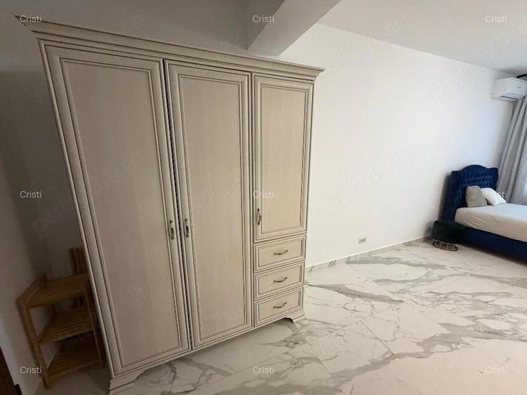 brancoveanu berceni odei cavar - 5