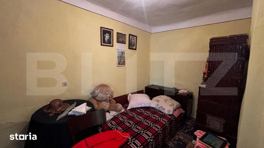 Proprietate cu 2 case, 3.345 mp teren, Balota de Jos, comuna Murgasi - 10
