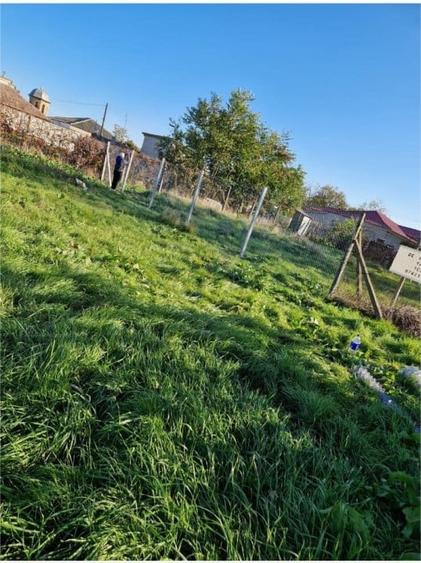 TEREN INTRAVILAN  |  MURFATLAR  |  CONSTANTA - 1