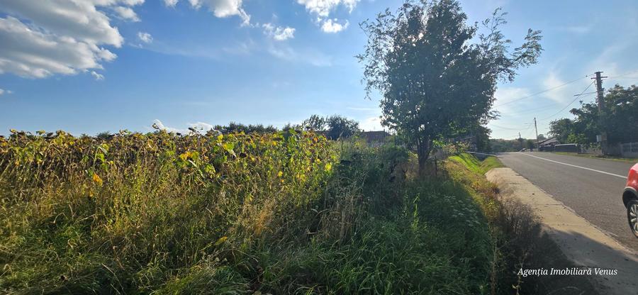 Teren cu suprafata de 3200mp la strada in Manastirea Doamnei - 1