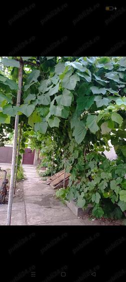 Vand casa in Curtici - 3
