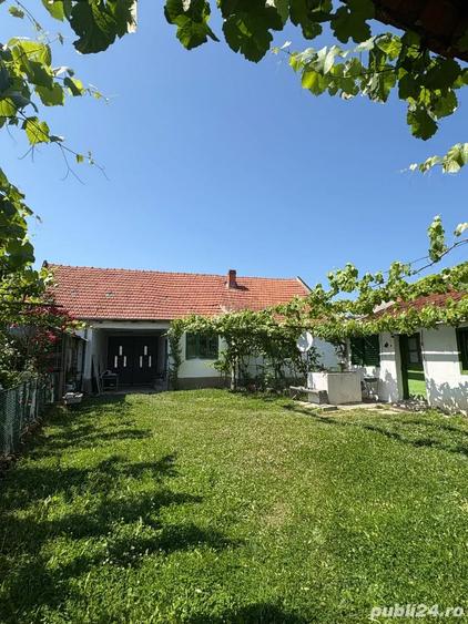 Vand Casa - 4