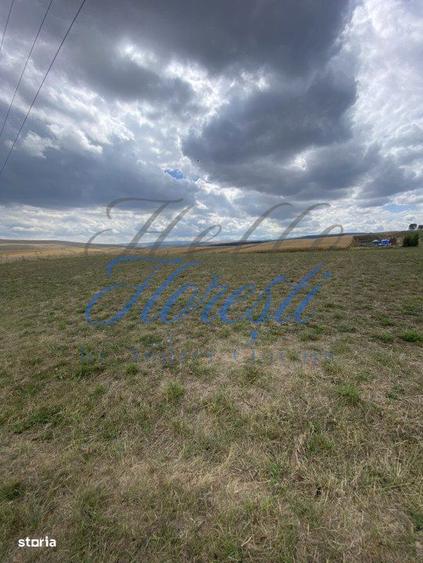 Teren de 1833 mp sat rediu - 1