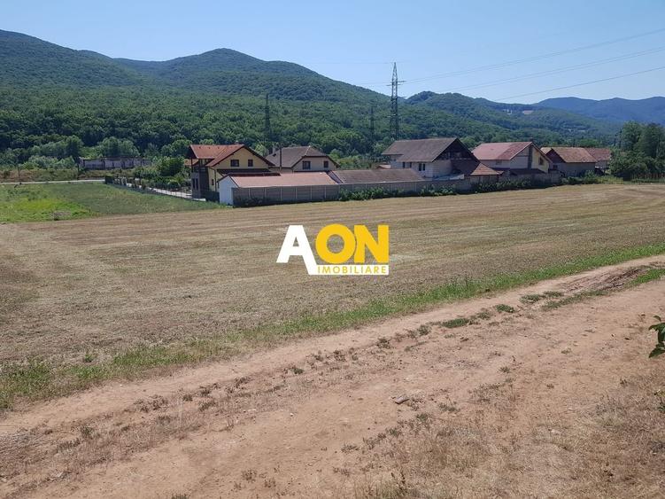 Teren intravilan , 575 mp, Gura Ampoitei - 1