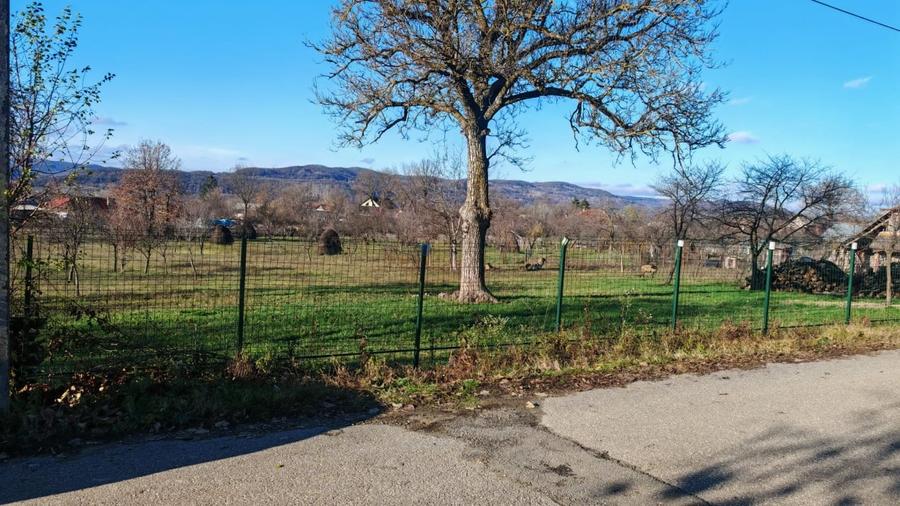 Teren de vanzare – 2.550 mp, pozitie excelenta, Stalpeni (zona centrala), jud AG - 8