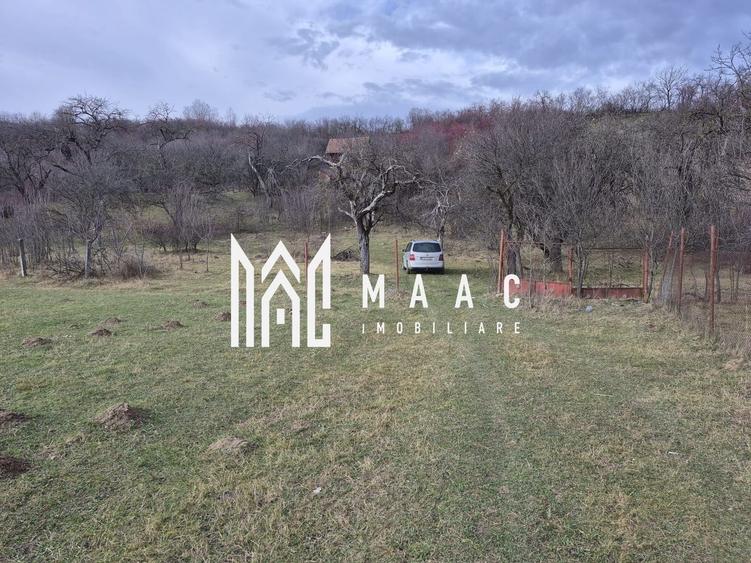 Teren de vanzare | Orlat | Extravilan - 7
