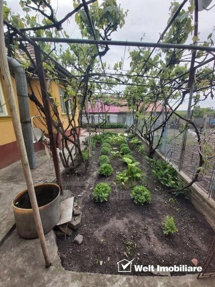 Casa de vanzare, teren 1700 mp, Ceanu Mic, judetul Cluj - 29